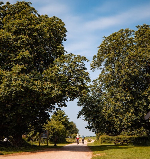 Boerderij Mossel | Verscholen pareltje midden op de Veluwe